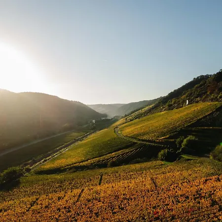 Genuss - Im Weindorf An Der Mosel Pommern
