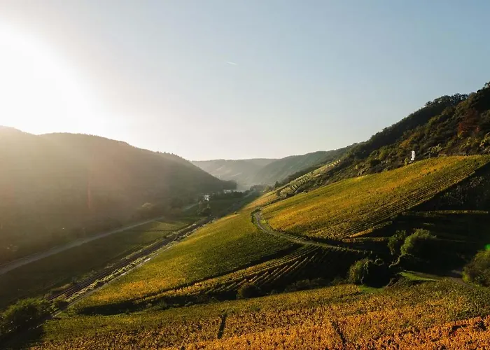 Genuss - Im Weindorf An Der Mosel Pommern